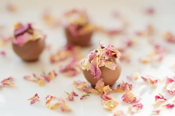 Cresus Kasino Apl Android/iOS